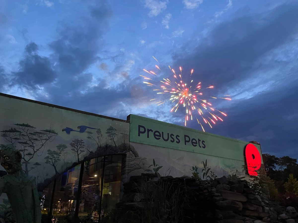 Preuss Pets fireworks