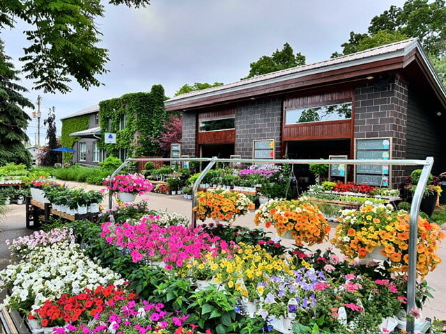 outdoor garden at MRSG